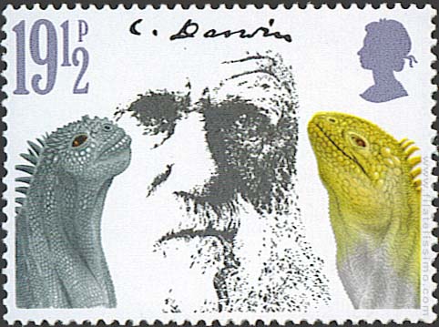 MUERTE DARWIN muerte darwin: