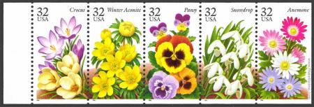 Flores de Jardín